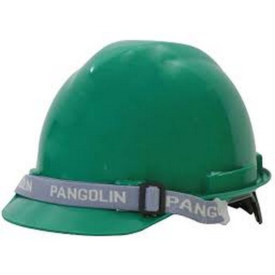 Mũ bảo hộ lao động Pangogard HLMT9001-S2GR